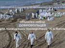 ТРЕБУЮТСЯ ДОБРОВОЛЬЦЫ